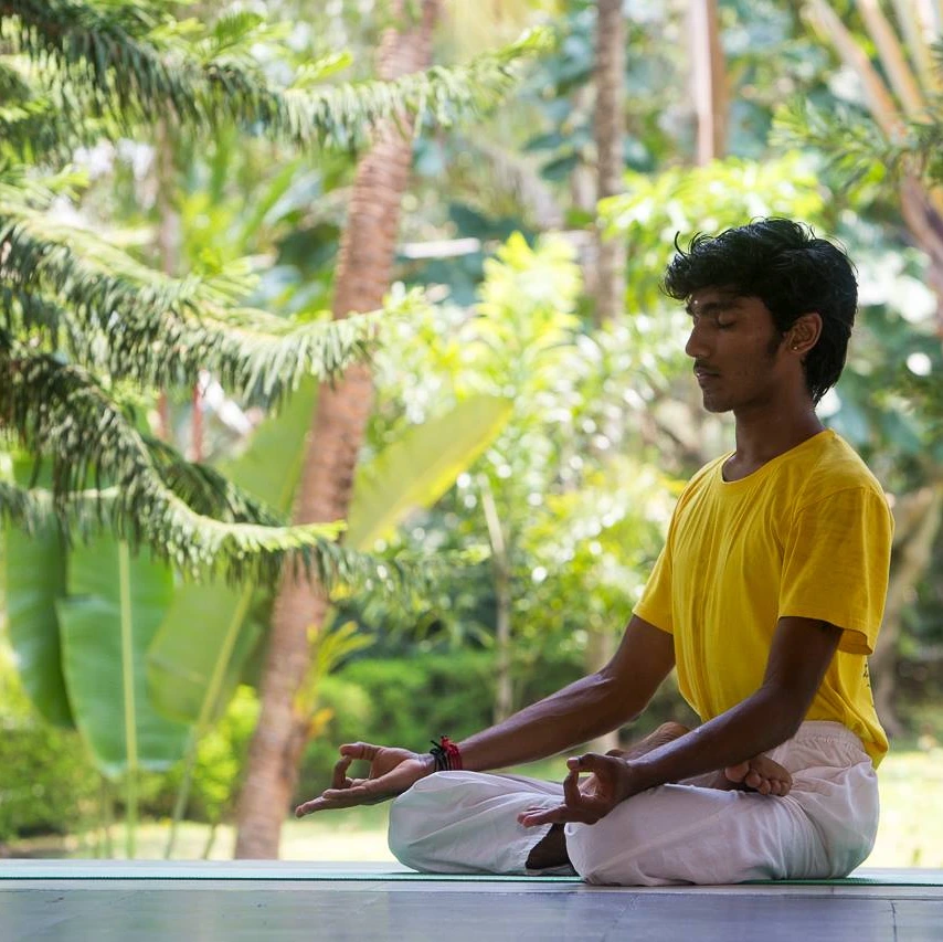 Sivananda Yoga Image